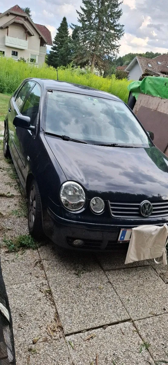 VW Polo