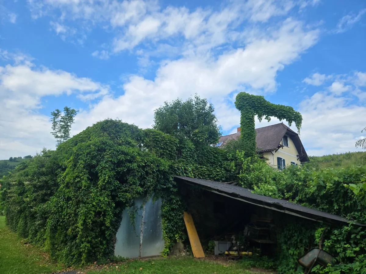 Absolut seltene leistbare Gelegenheit - traumhafter Weitblick, herrliche Terrasse mit Kellerbereich, Altbestand optimal integrierbar in vergrößerbaren Neubau - Ansicht 3