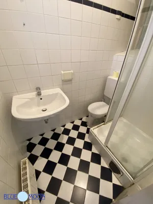 1-Zimmer-Wohnung mieten in Wien – 31 m², € 350 – Bild 3 von 8