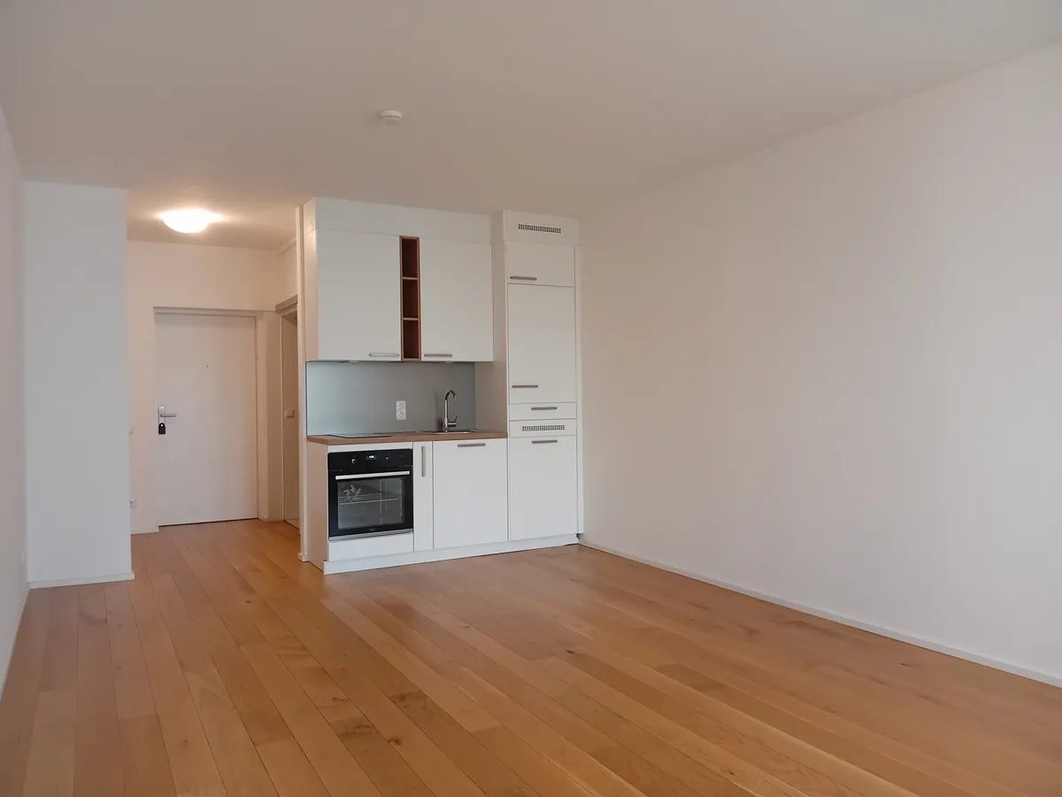 1 Zimmer-Wohnung verfügbar ab 01.08.2026 | 3m² Loggia | Linz-Urfahr - Ansicht 2