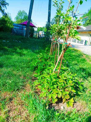 Immobilie kaufen in Vöcklabruck – 764 m², € 72.000 – Bild 18 von 25