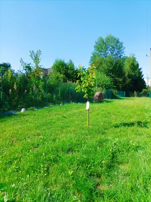 Immobilie kaufen in Vöcklabruck – 764 m², € 72.000 – Bild 3 von 25