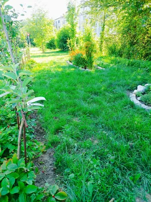 Immobilie kaufen in Vöcklabruck – 764 m², € 72.000 – Bild 24 von 25