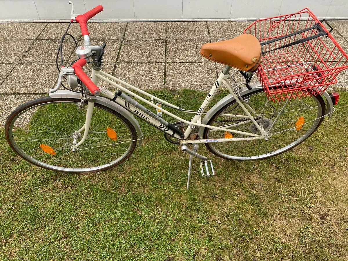 best gravel bikes with electronic shifting PRIORITY GEMINI SMART.SHIFT wholesale taps Size:S- Small Puky 18 Zoll Kinderfahrrad