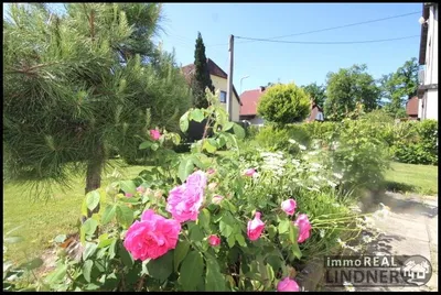 5-Zimmer-Haus kaufen in Linz Land – 111 m², € 498.000 – Bild 7 von 28
