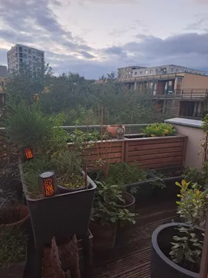 2-Zimmer-Wohnung mieten in Wien – 60 m², € 818 – Bild 9 von 10