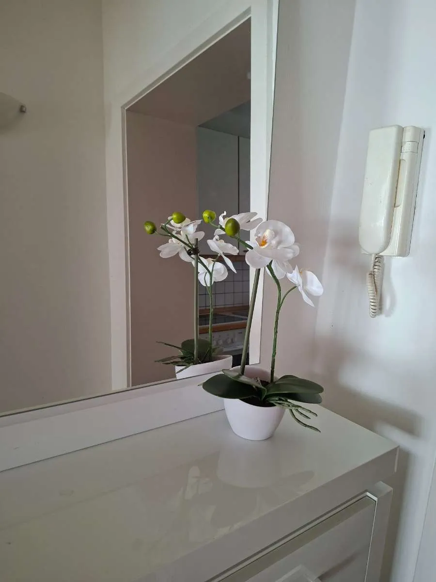 Wohnung – Bruck an der Mur
