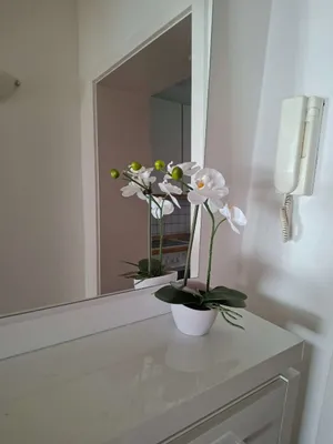 2-Zimmer-Wohnung kaufen in Bruck-Mürzzuschlag – 54 m², € 79.000