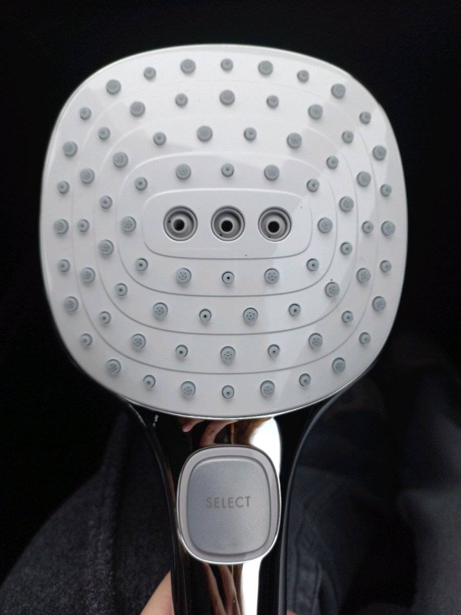 Hansgrohe Duschkopf