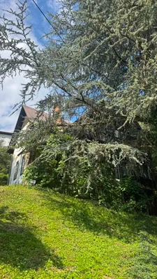 Immobilie kaufen in Klagenfurt Land – 130 m², € 270.000 – Bild 6 von 26