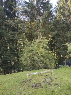 Grundstück kaufen in Leoben – 690 m², € 5.550 – Bild 9 von 9