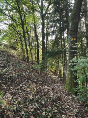 Grundstück kaufen in Leoben – 690 m², € 5.550 – Bild 5 von 9