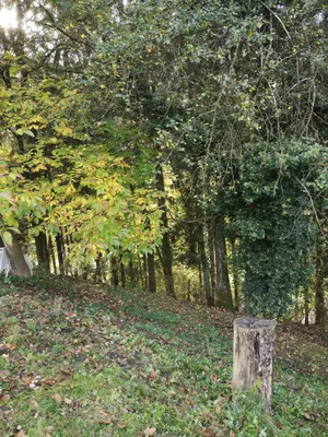 Grundstück kaufen in Leoben – 690 m², € 5.550 – Bild 7 von 9