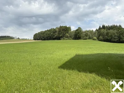 Haus kaufen in Ried im Innkreis – 223 m², € 665.000 – Bild 23 von 24
