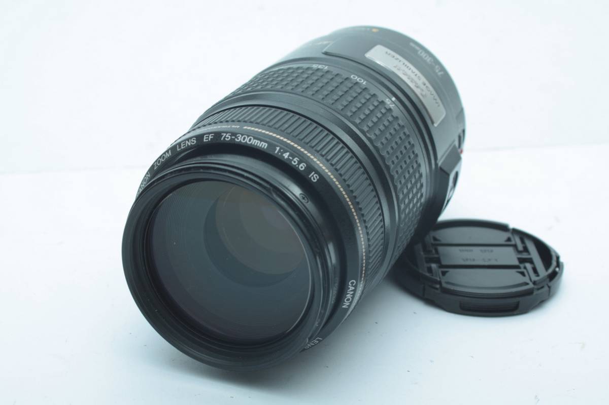 Canon Teleobjektiv EF 75-300mm 1:4-5,6 IS Ultrasonic EOS digital, Image Stabilizer