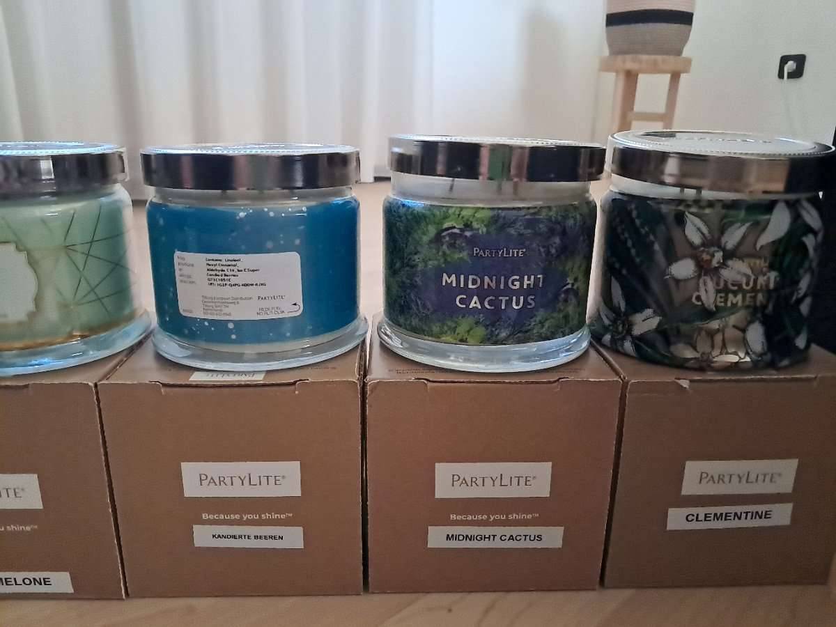 calathea gegen schimmel Calathea & Maranta-Erde kaufen? ✓ Schnell versandt – Sybotanica