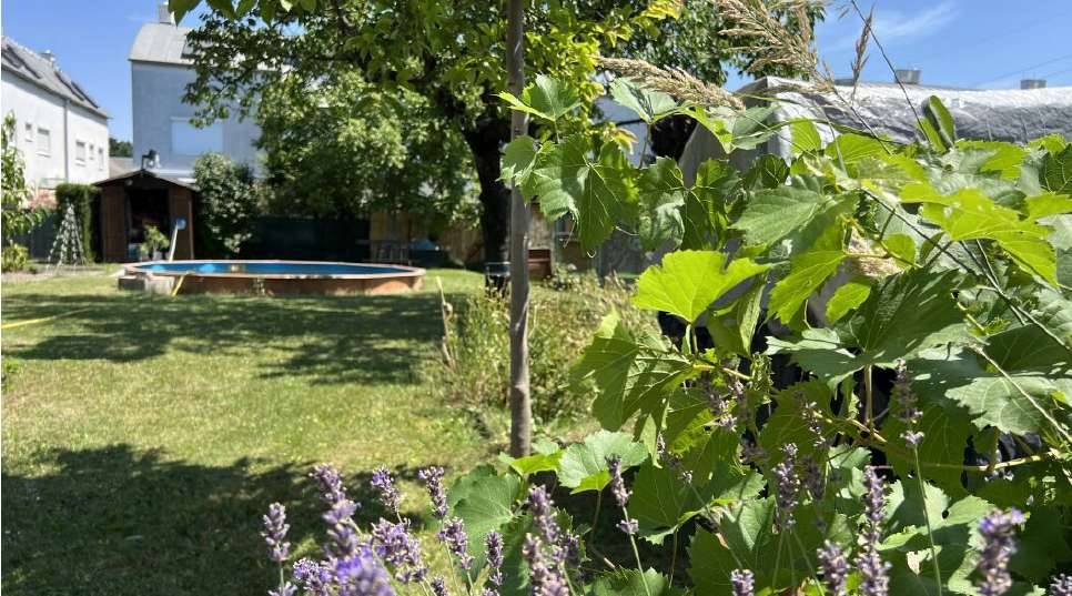 Modernes Haus in Ruhelage und Nähe zu Lobau und Seestadt - Ansicht 2