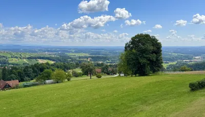 4-Zimmer-Immobilie kaufen in Deutschlandsberg – 125 m², € 997.000 – Bild 4 von 20