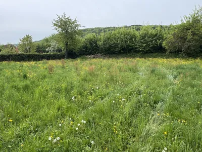 Immobilie kaufen in Urfahr-Umgebung – 3 731 m², € 950.000 – Bild 6 von 24