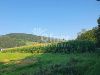 Grundstück kaufen in Voitsberg – 5 270 m², € 63.240 – Bild 5 von 5