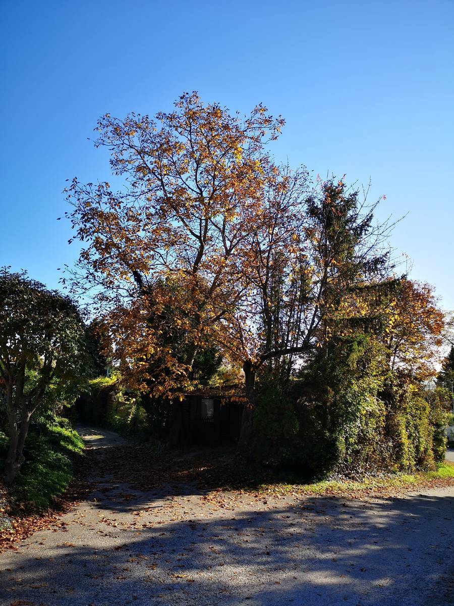 liebvolles Mobilheim & super Grundstück ca 260m² - Ansicht 2