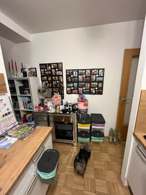 2-Zimmer-Wohnung mieten in Bruck-Mürzzuschlag – 43 m², € 371 – Bild 10 von 10