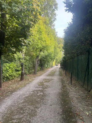 Immobilie kaufen in Wien – 581 m², € 13.000.000 – Bild 21 von 21