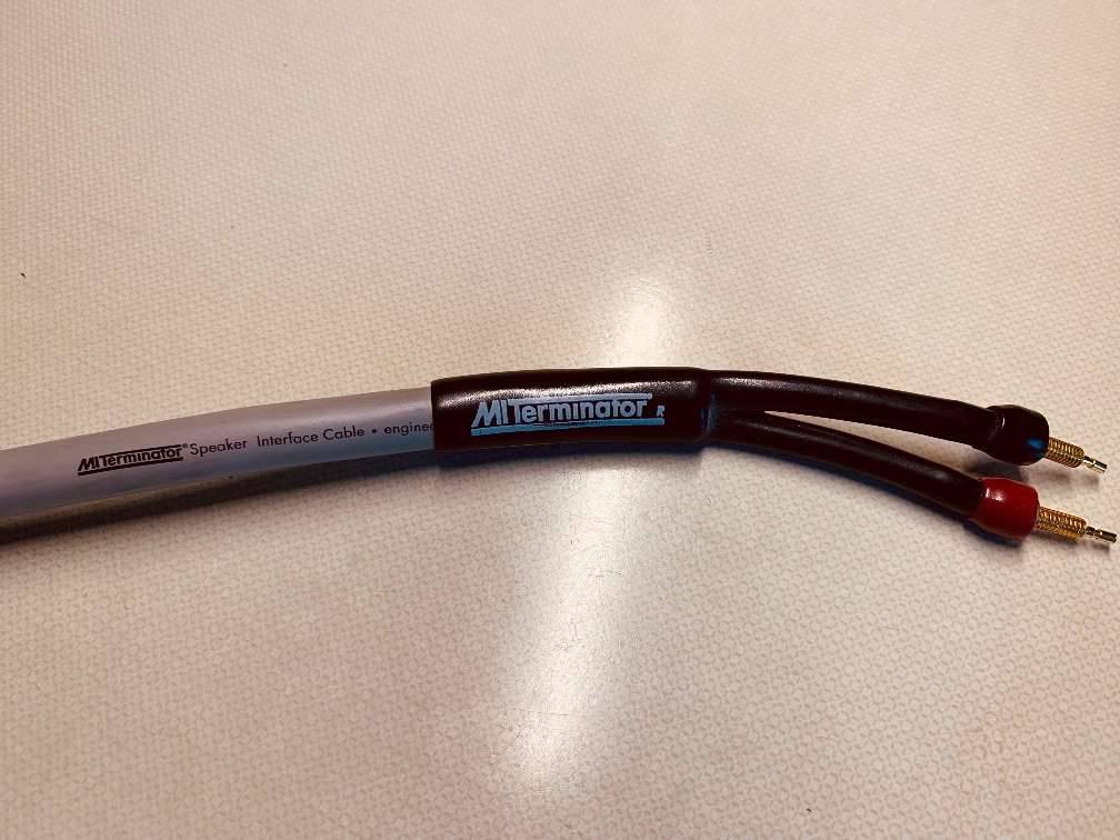 Used terminator 5 for Sale | HifiShark.com
