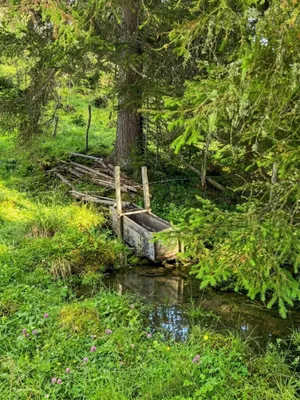 Immobilie kaufen in Murtal – 200 542 m², € 320.000