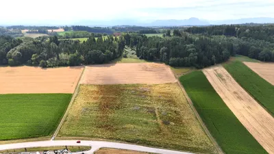 Immobilie kaufen in Grieskirchen – 27 725 m², € 5.545.000 – Bild 4 von 12