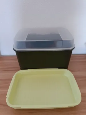 Tupperware Brotdose, € 45,- (8344 Bad Gleichenberg)