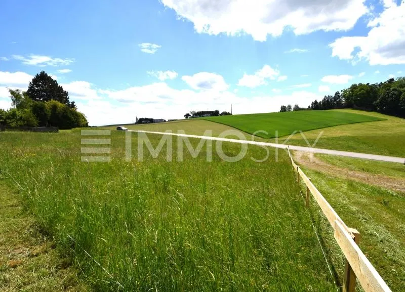 Weitblick-Traumplatz für Ihr Traumhaus-Stadtgrenze Urfahr - Ansicht 3