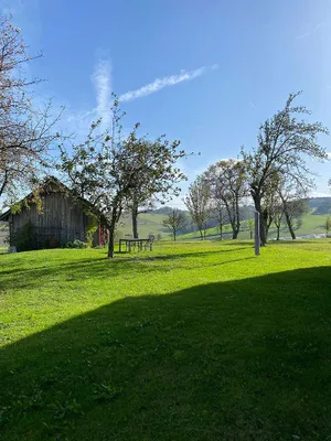 2-Zimmer-Wohnung mieten in Amstetten – 70 m², € 525 – Bild 2 von 15