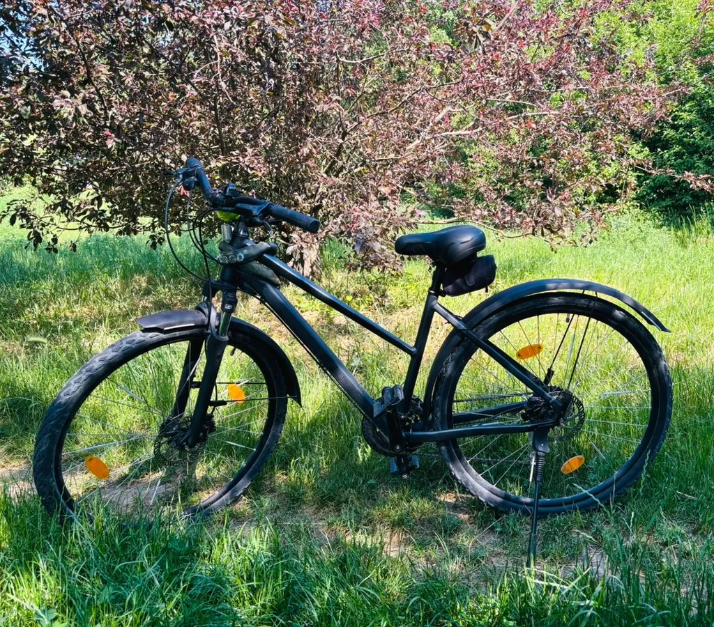 rennrad unter 4 kg Mendiz Bikes F4.08, Aluminium, Größe: 48 cm, Shimano Tiagra R4700, Scheibenbremsen, Farbe rot Sport & Freizeit Schwalbe G-One RX Pro bq1 Color:Matte Pink / Purple Fade