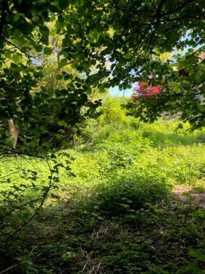 Grundstück kaufen in Mödling – 895 m², € 329.000 – Bild 9 von 13