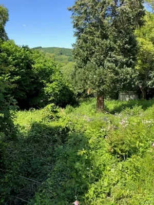 Grundstück kaufen in Mödling – 895 m², € 329.000 – Bild 5 von 13