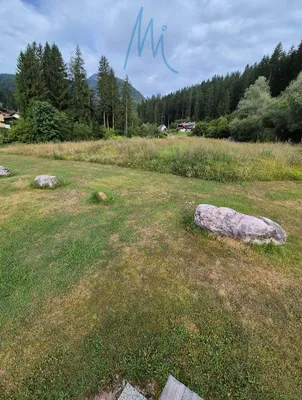 Immobilie kaufen in Hermagor – 11 800 m² – Bild 4 von 8