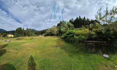 Immobilie kaufen in Hermagor – 11 800 m² – Bild 2 von 8