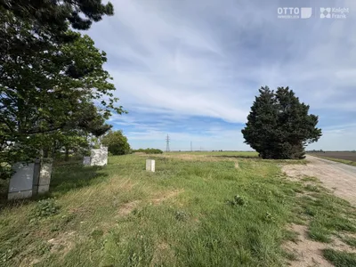 Immobilie kaufen in Gänserndorf – 5 308 m² – Bild 2 von 4