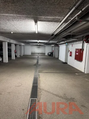 Immobilie mieten in Baden – € 79 – Bild 3 von 3