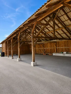 Immobilie mieten in Linz Land – 36 m², € 180 – Bild 1 von 2