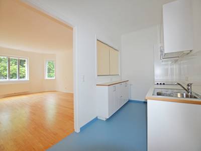 Helle 2-Zimmer-Altbauwohnung in Grünruhelage - Böcklinstrasse, Wien