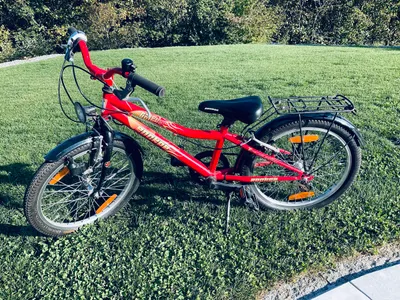 Tolles TAIFUN Kinder Fahrrad 20 Zoll mit Shimano Schaltung unisex