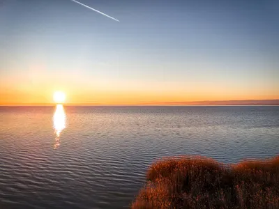 Gewerbeimmobilie kaufen in Neusiedl am See – 367 m², € 1.350.000 – Bild 63 von 71