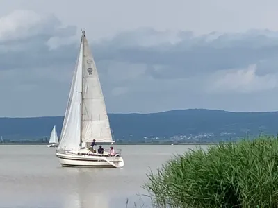 Gewerbeimmobilie kaufen in Neusiedl am See – 367 m², € 1.350.000 – Bild 58 von 71