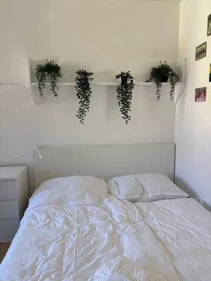 3-Zimmer-Wohnung mieten in Linz – 32 m², € 650 – Bild 5 von 11