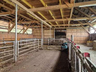 Grundstück kaufen in Sankt Pölten Land – 203 213 m² – Bild 4 von 6