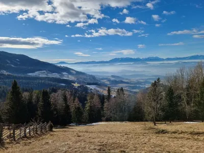 Immobilie kaufen in Wolfsberg – 500 m², € 123.000 – Bild 2 von 10