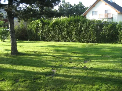 Grundstück kaufen in Baden – 773 m², € 230.000 – Bild 19 von 34
