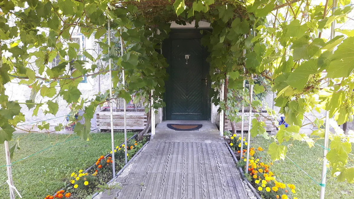 Erdgeschosswohnung in einem Haus in idyllischer Alleinlage- Nähe Traunfluss & Ortszentrum Stadl Paura und Lambach - Ansicht 2